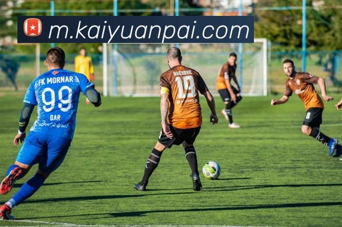 开元棋牌平台生态图